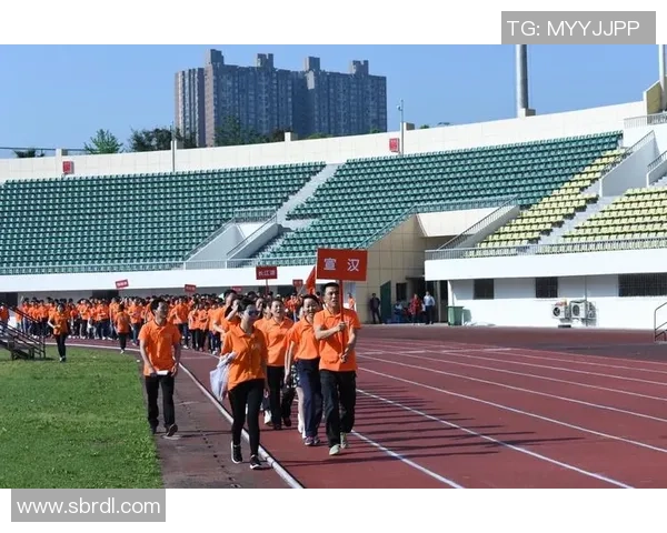 汉诺威与汉堡激战回顾2017年9月16日精彩瞬间与赛后分析